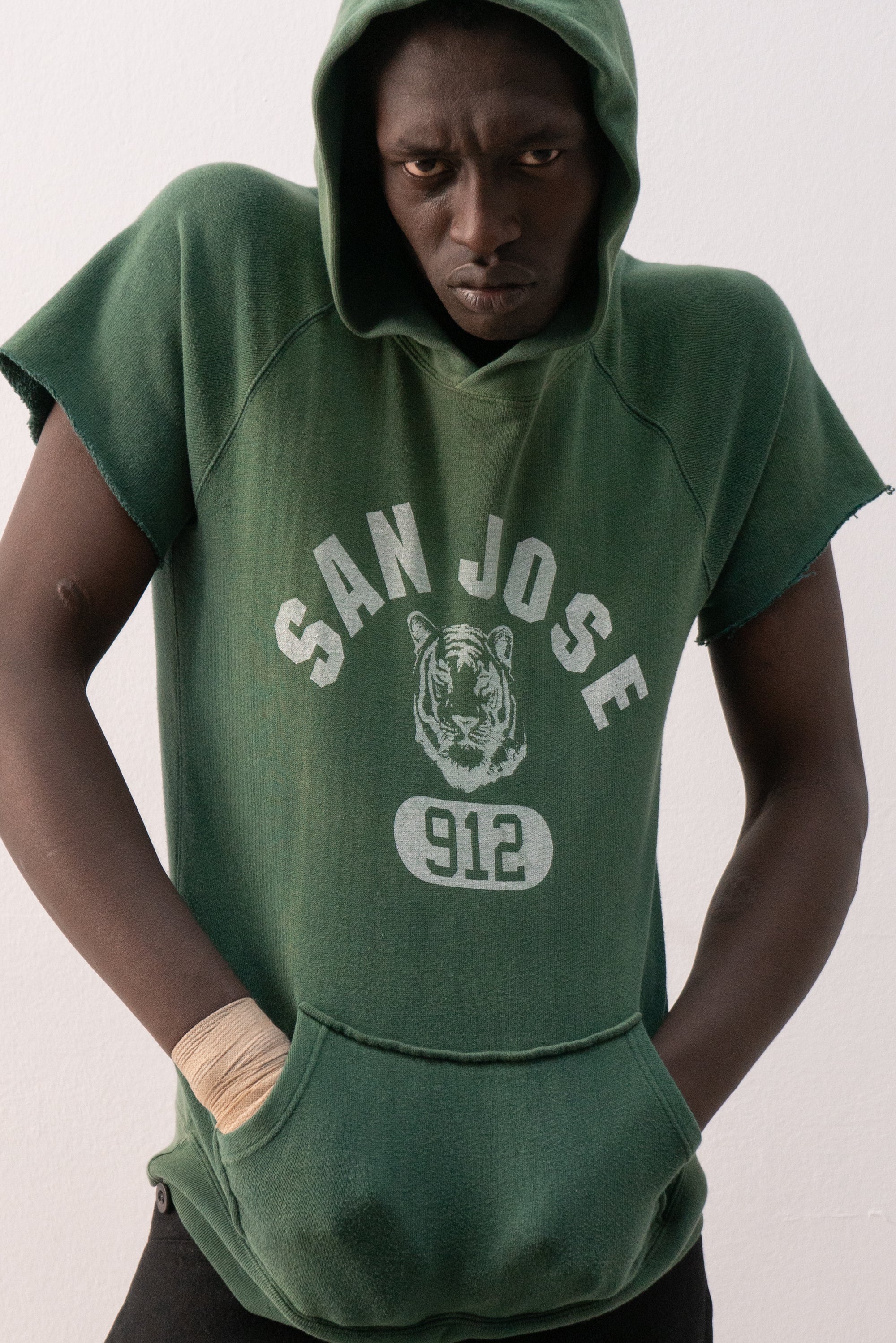 sunfaded short sleeve hoodie