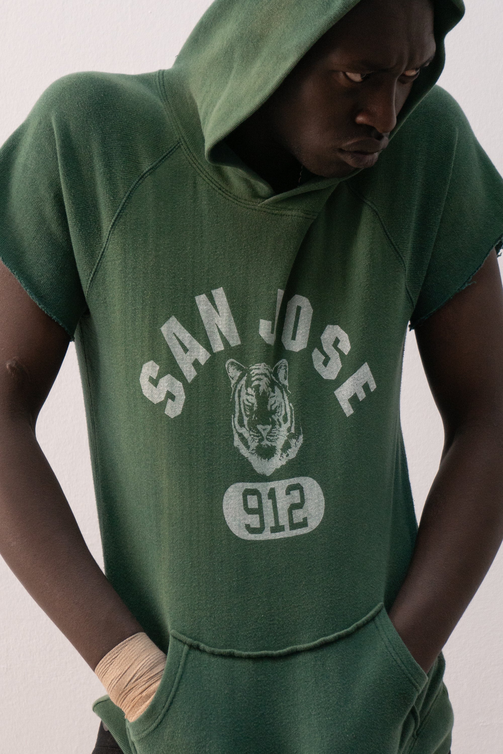 sunfaded short sleeve hoodie